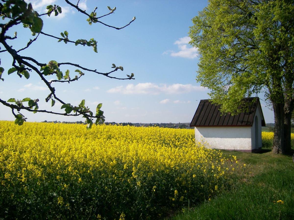 Landhaus باد بيتريتش المظهر الخارجي الصورة